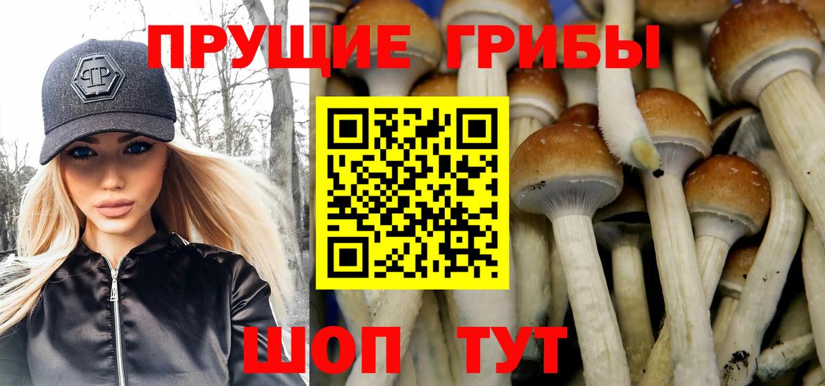 Псилоцибиновые грибы мицелий Шали