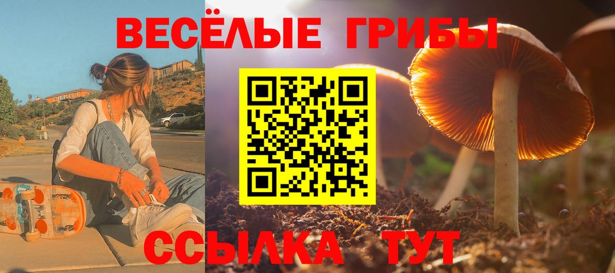 Галлюциногенные грибы Psilocybine cubensis  Вход с VPN  Шали  Псилоцибиновые грибы Magic Shrooms 
