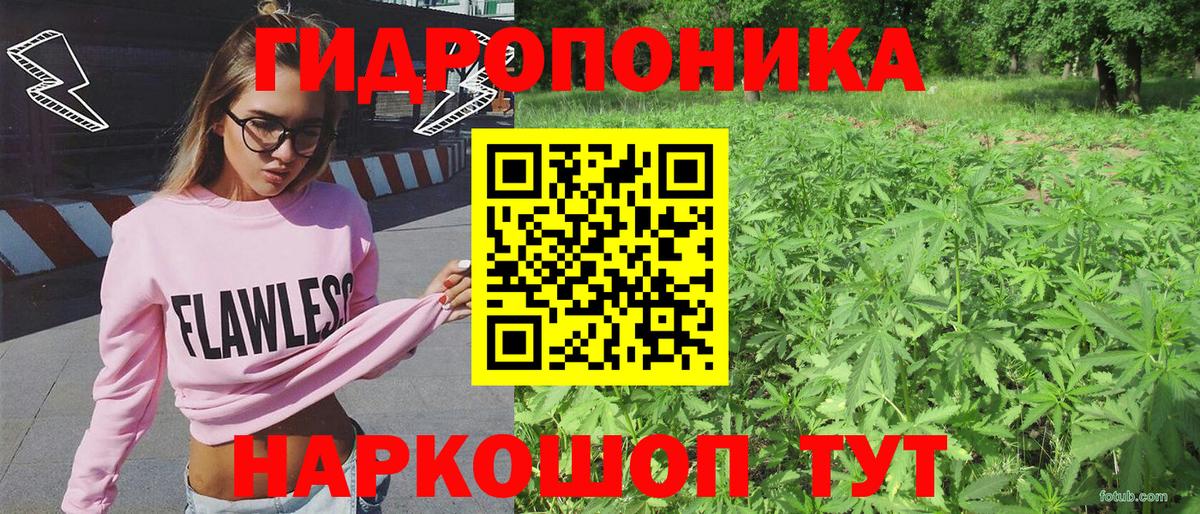 Шали  Конопля план  Шишки марихуана планчик  Вход с VPN  Марихуана Ganja  Бошки Шишки ГИДРОПОН 